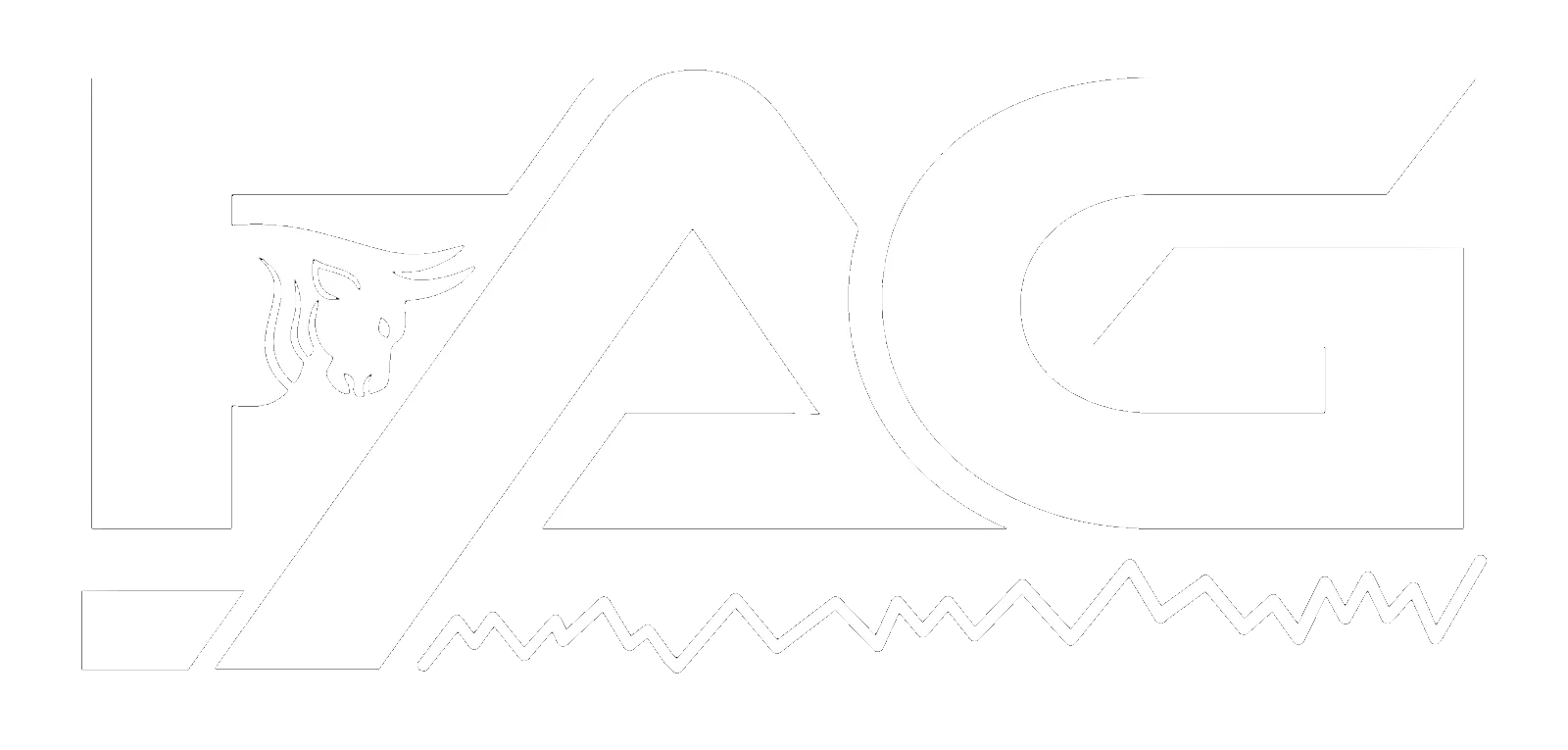 FAG Finance